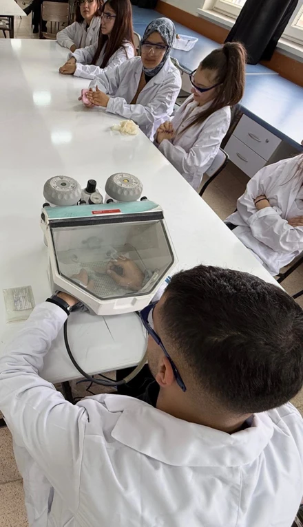 Mimari Restorasyon Programının Konservasyon ve Restorasyon Uygulamaları